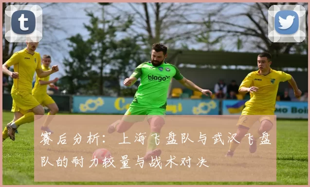 赛后分析:上海飞盘队与武汉飞盘队的耐力较量与战术对决