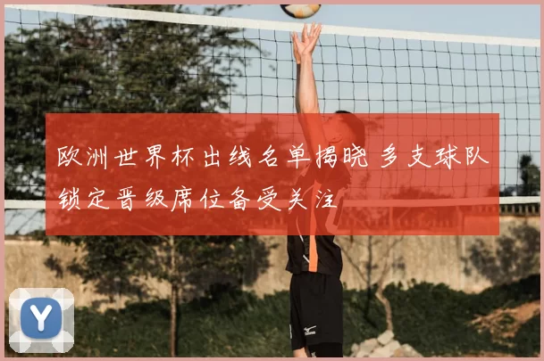 欧洲世界杯出线名单揭晓 多支球队锁定晋级席位备受关注