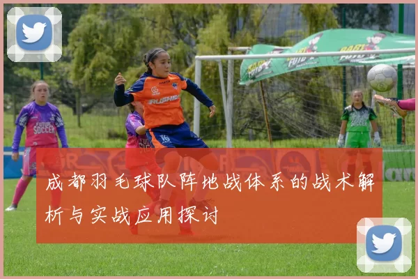 成都羽毛球队阵地战体系的战术解析与实战应用探讨