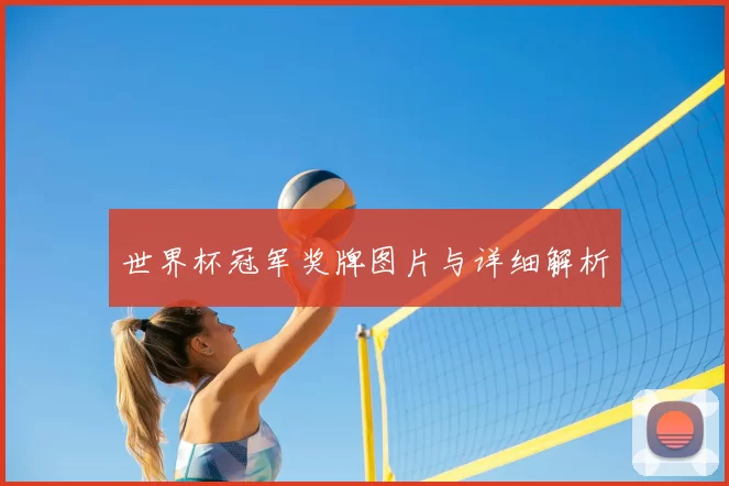 世界杯冠军奖牌图片与详细解析