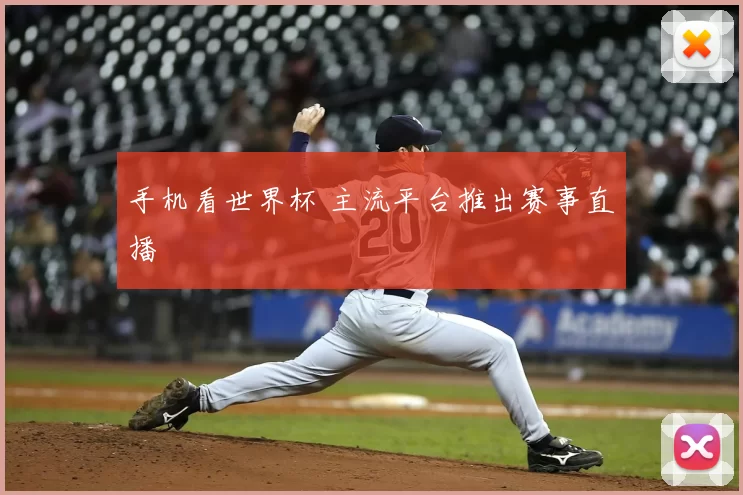 手机看世界杯 主流平台推出赛事直播