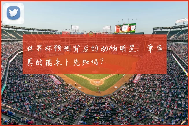 世界杯预测背后的动物明星：章鱼真的能未卜先知吗？