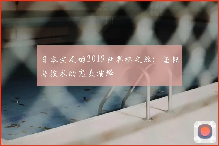 日本女足的2019世界杯之旅:坚韧与技术的完美演绎