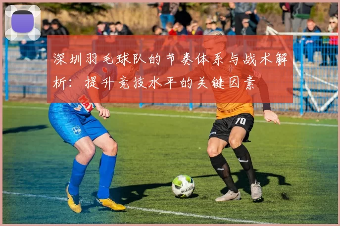 深圳羽毛球队的节奏体系与战术解析：提升竞技水平的关键因素